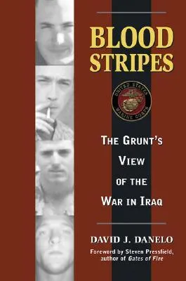 Blood Stripes: The Grunt's View of the War in Iraq