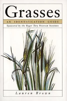 Grasses: An Identification Guide