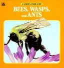 Bees, Wasps and Ants (A Golden Junior Guide)