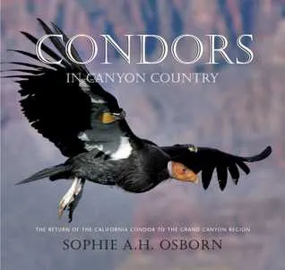 Condors in Canyon Country: The Return of the California Condor to the Grand Canyon Region
