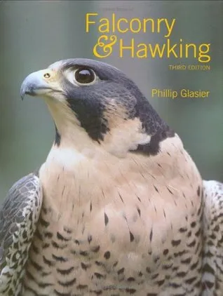 Falconry  Hawking
