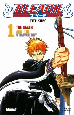 Bleach, Tome 1: The Death and the Strawberry