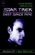 Star Trek. Deep Space Nine 29. Der Abgrund. Section 31