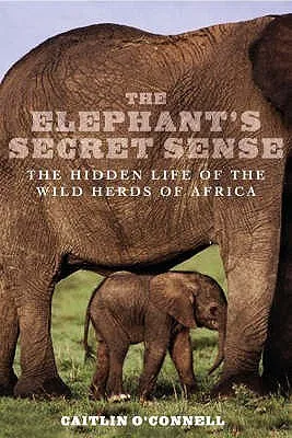 Elephants Secret Sense