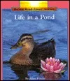 Life in a Pond