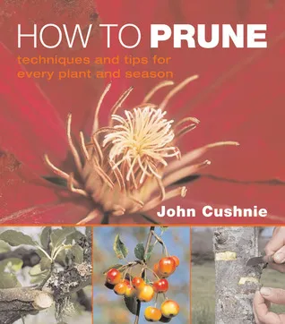 How to Prune: Techniques and Tips for Every Plant and Season