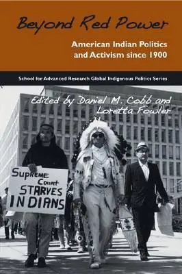 Beyond Red Power: American Indian Politics and Activism Since 1900