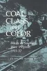 Coal, Class, and Color: Blacks in Southern West Virginia, 1915-32