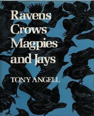 Ravens, Crows, Magpies, and Jays